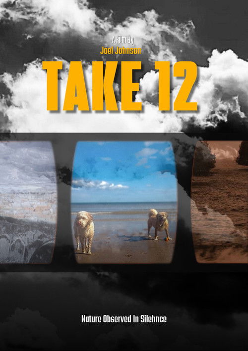 Take 12 (2025) poster