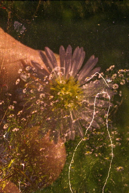 the ground is bleeding light (indemini – sant’abbondio) poster