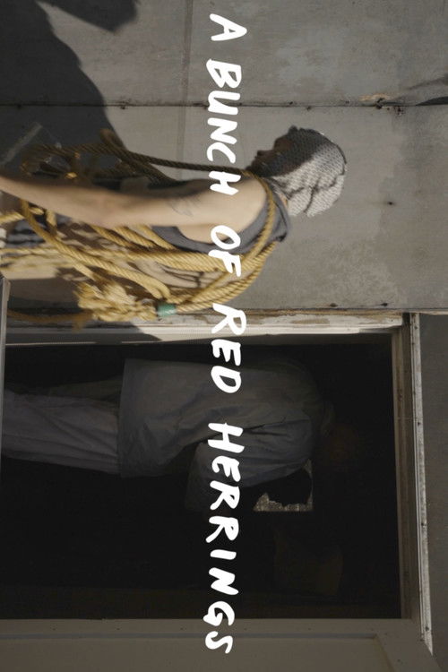 A bunch of red herrings (2022) poster