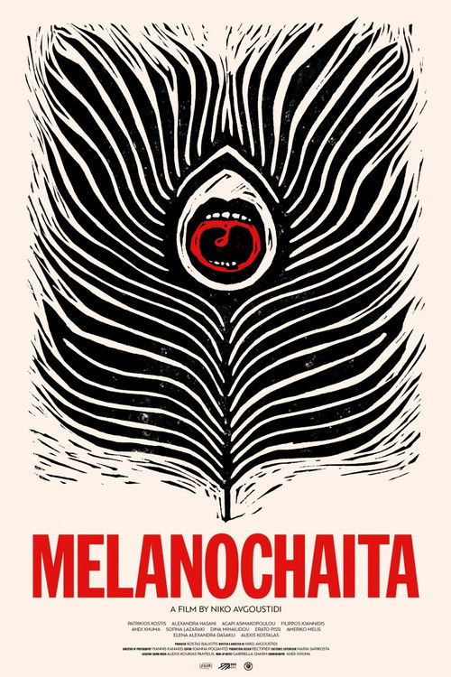 Melanochaita (2025) poster