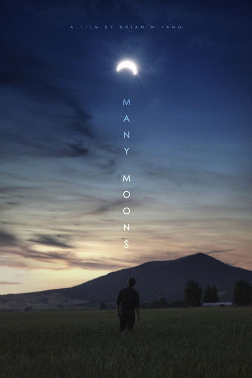 Many Moons (2018) poster
