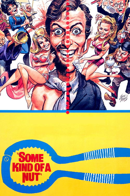 Some Kind of a Nut (1969) poster