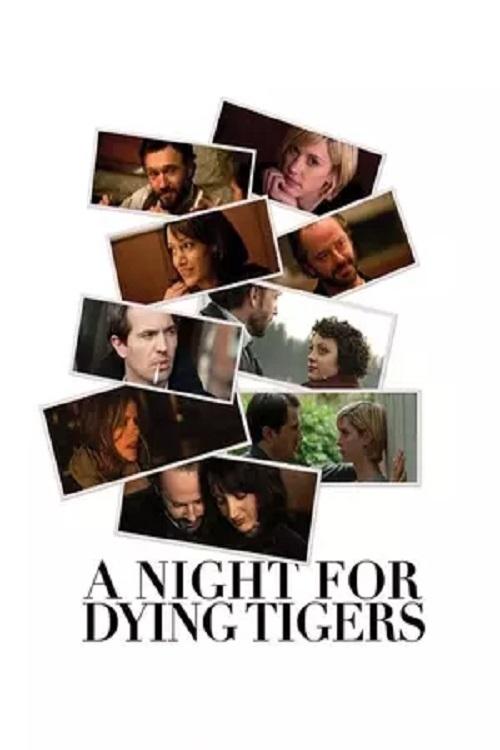 A Night for Dying Tigers (2010) poster