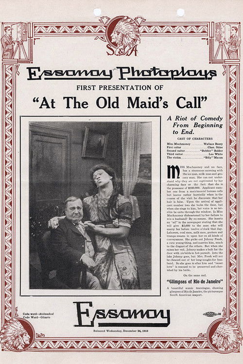 At the Old Maid's Call (1913) poster