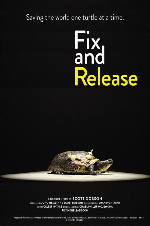Fix and Release (2017) poster
