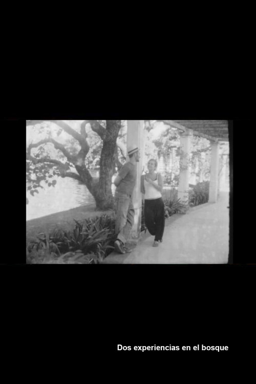Dos experiencias en el bosque (2014) poster