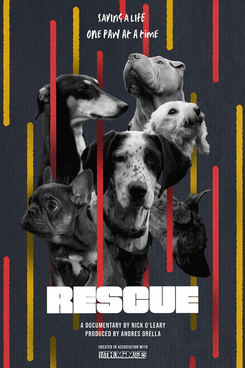 RESCUE (2024) poster