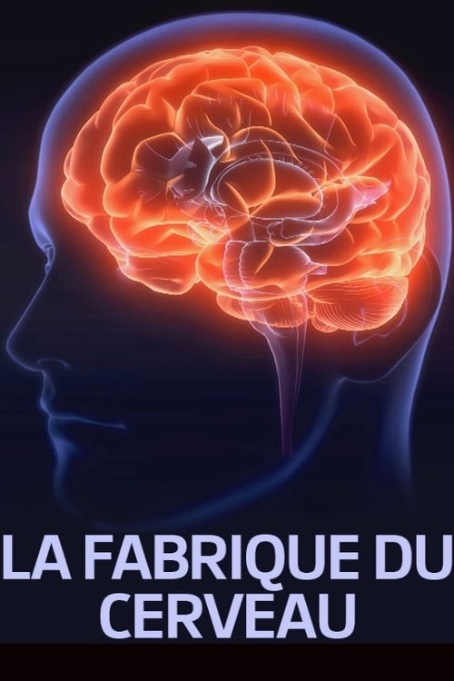 La fabrique du cerveau (2017) poster