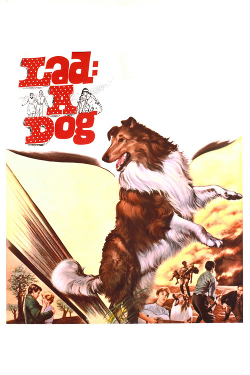 Lad: A Dog (1962) poster