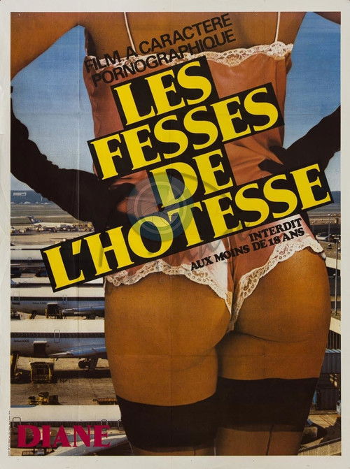 Les Fesses de l'hôtesse (1981) poster