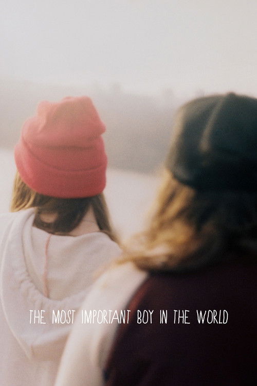 The Most Important Boy in the World (2016) poster