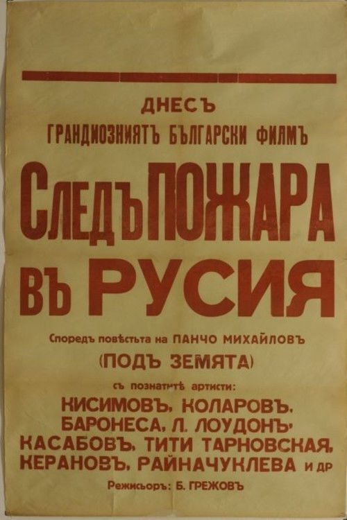 After the Fire in Russia (1929) poster