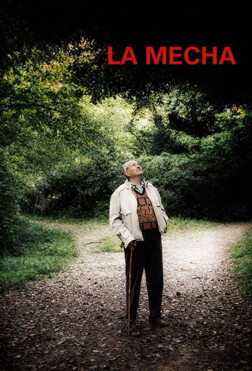 La Mecha (2003) poster