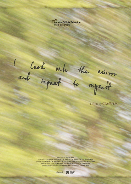 I Look into the Mirror and Repeat to Myself (2023) poster