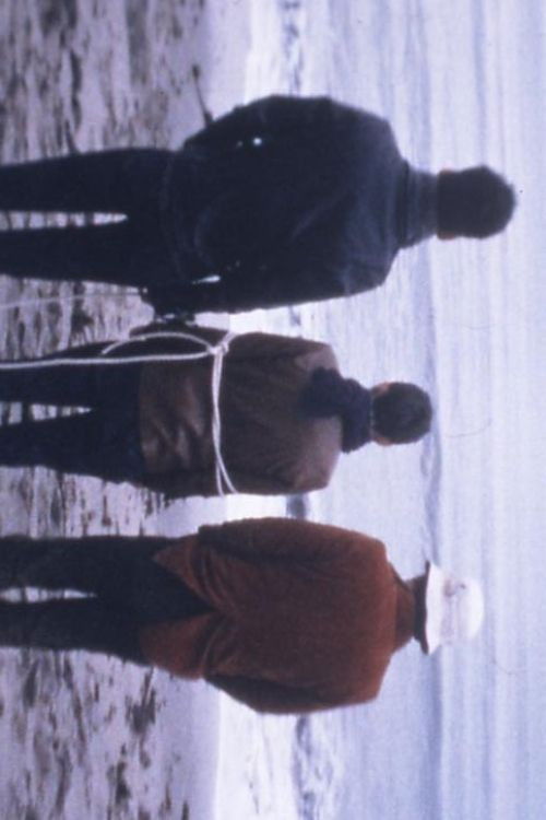 バッド デット (1998) poster