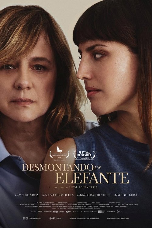 Desmontando un elefante (2025) poster