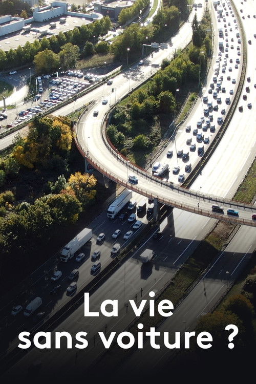 La Vie sans voiture ? (2024) poster