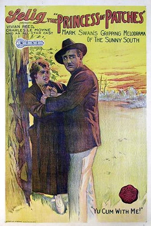 The Princess of Patches (1917) poster