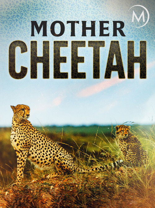 Cheetah Mom (2013) poster
