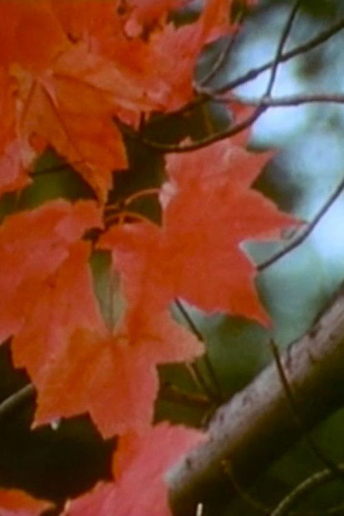 Discovery in a Landscape (1970) poster