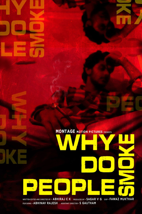 Why Do People Smoke (2024) poster