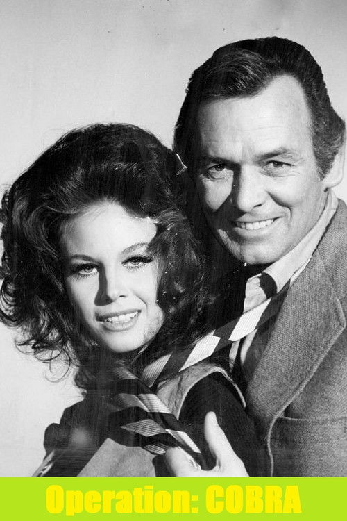 O'Hara, United States Treasury: Operation Cobra (1971) poster