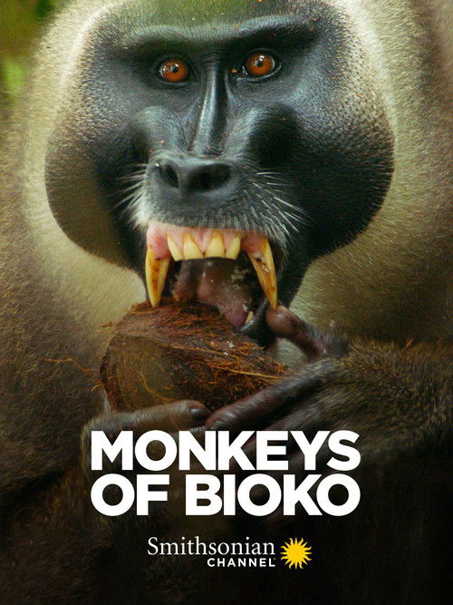 Monkeys of Bioko (2020) poster