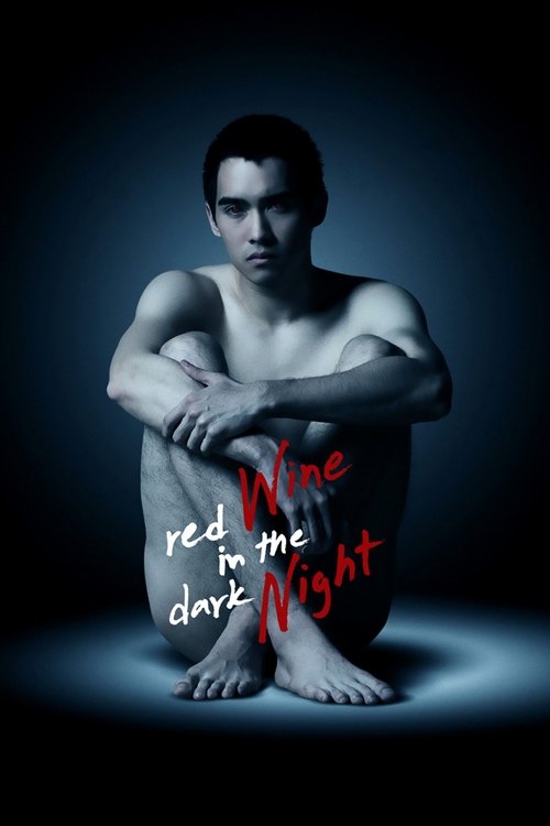 Red Wine in the Dark Night (2015) poster