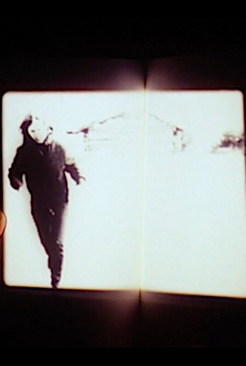 We Had the Experience but Missed the Meaning (2014) poster