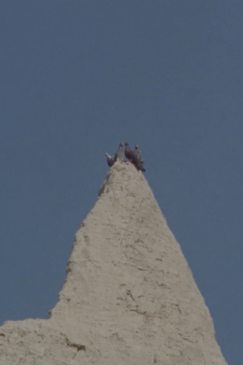 Dust Cycles (2017) poster