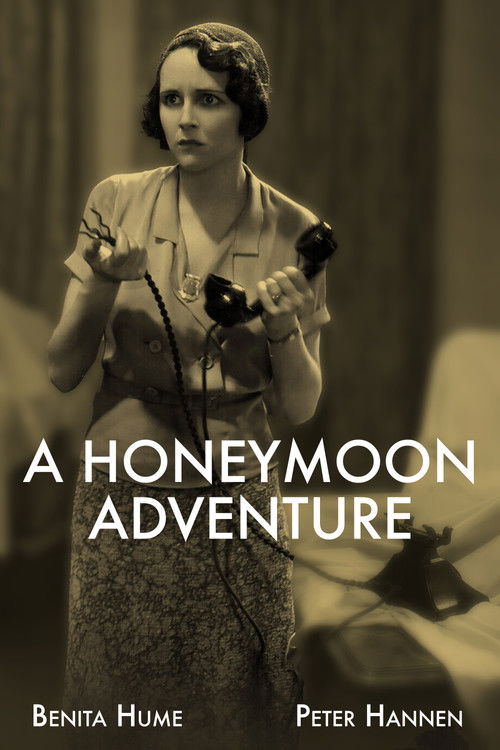 A Honeymoon Adventure (1931) poster