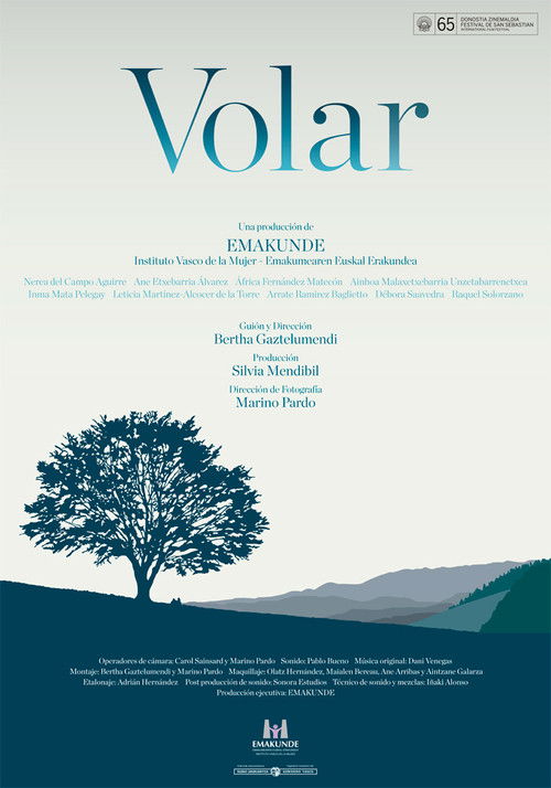 Volar (2017) poster