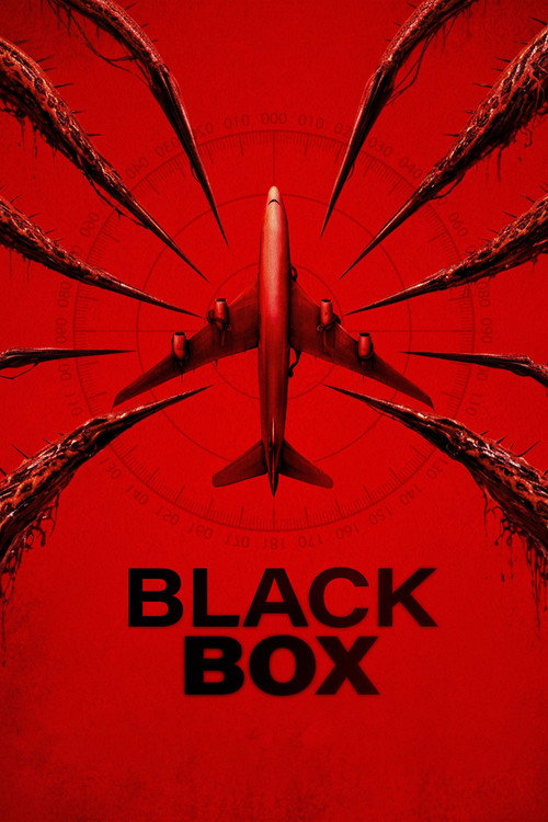 Black Box (Flight 298) (2026) poster
