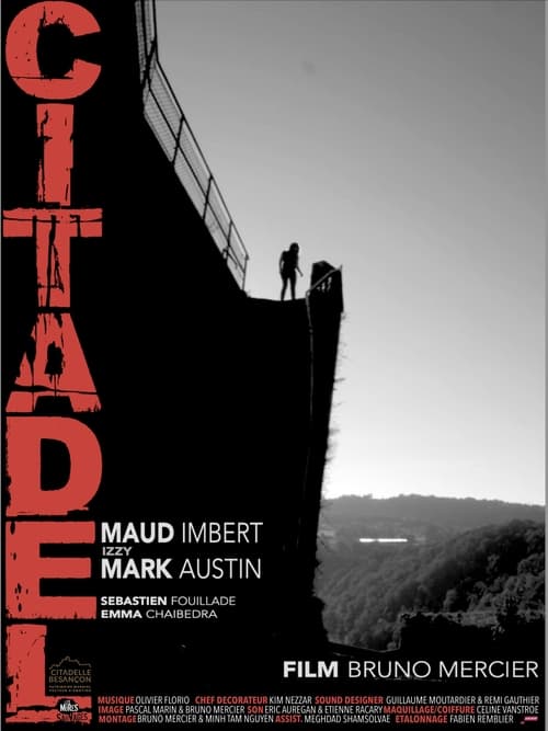Citadel (2024) poster