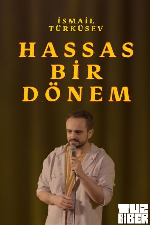 Hassas Bir Dönem - İsmail Türküsev (2023) poster