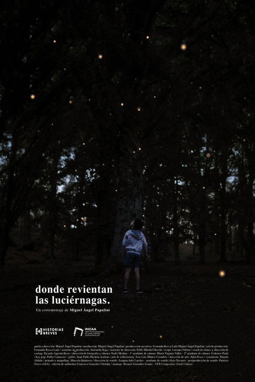 Where the fireflies burst (2024) poster