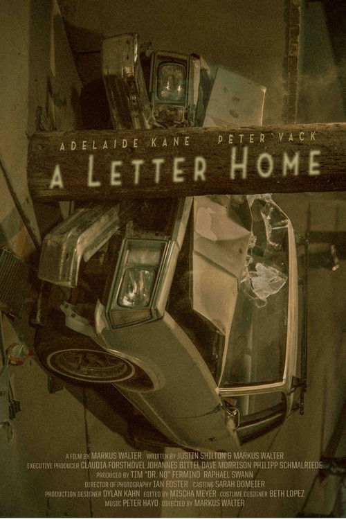 A Letter Home (2013) poster