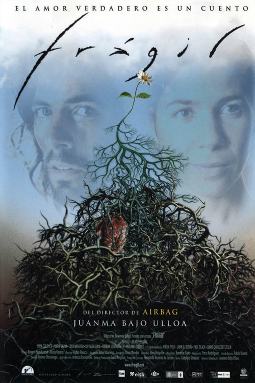 Frágil (2004) poster