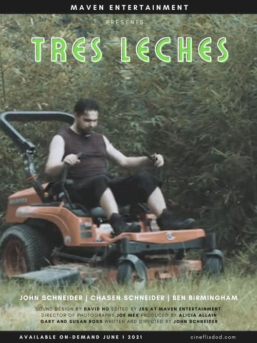 Tres Leches (2017) poster