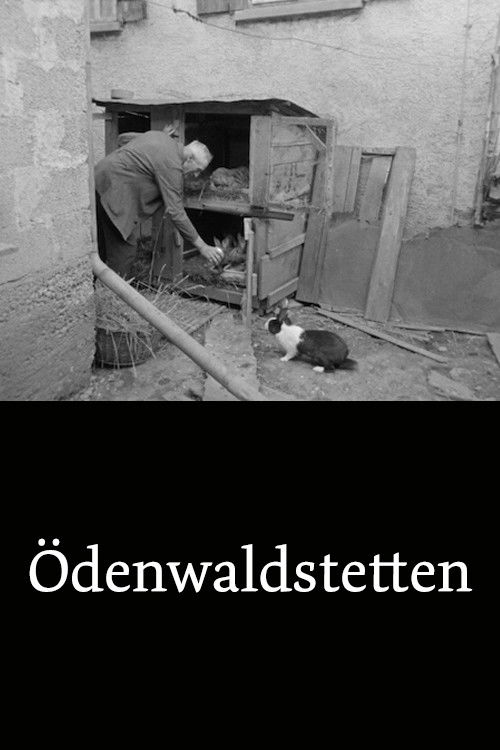 Ödenwaldstetten (1964) poster