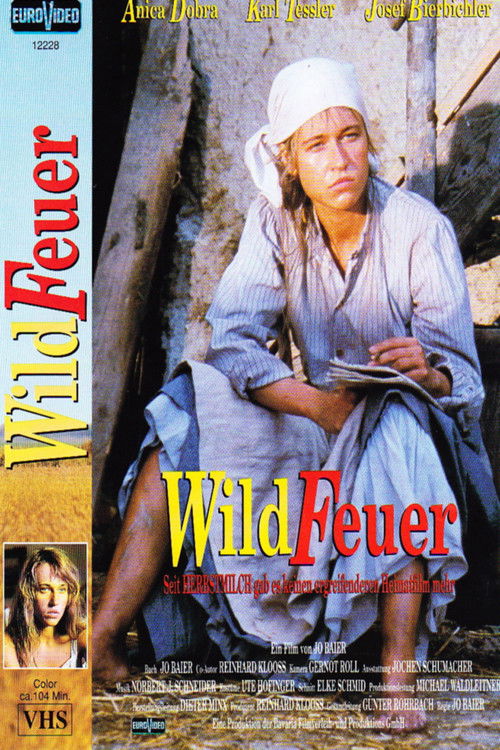 Wildfeuer (1991) poster