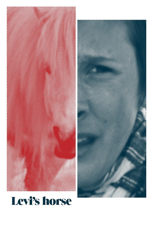 Levi's horse (2011) poster