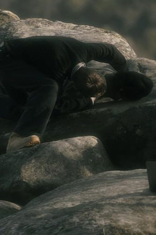 The Wanderer (2023) poster