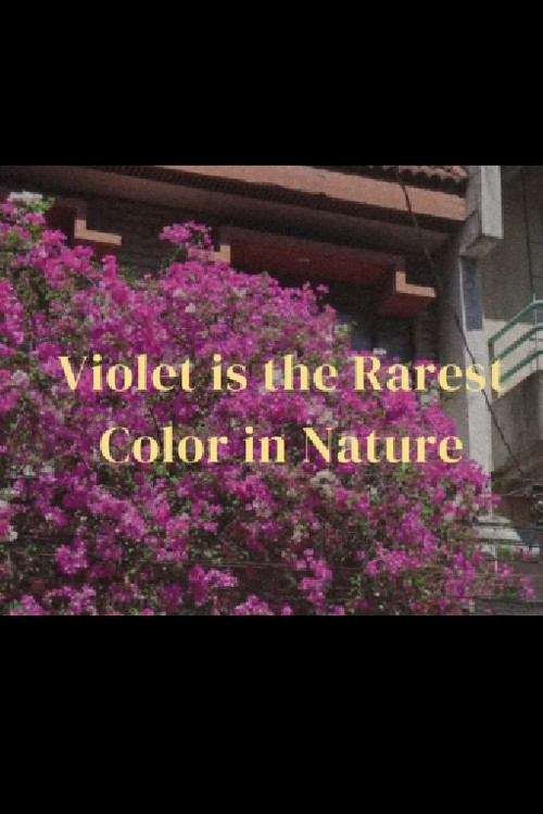 Violet is the rarest color in nature (2024) poster