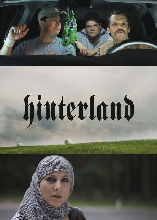 Hinterland (2011) poster