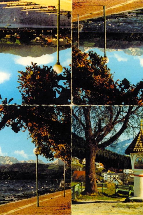 Mountain Trip (1999) poster