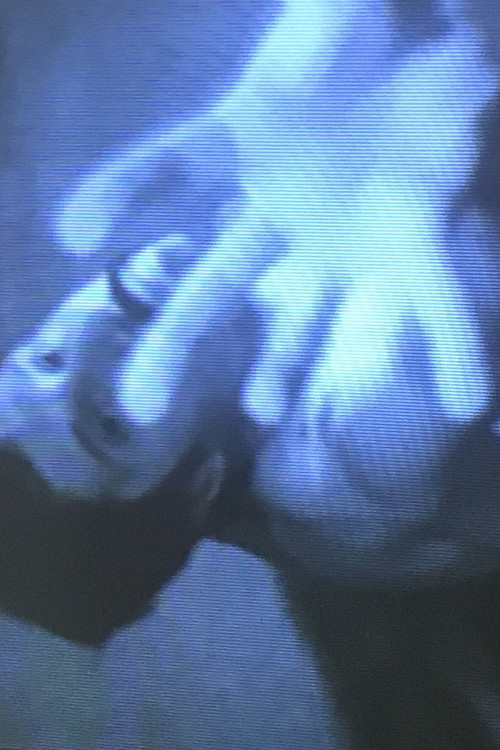 The Florence Tape (1974) poster