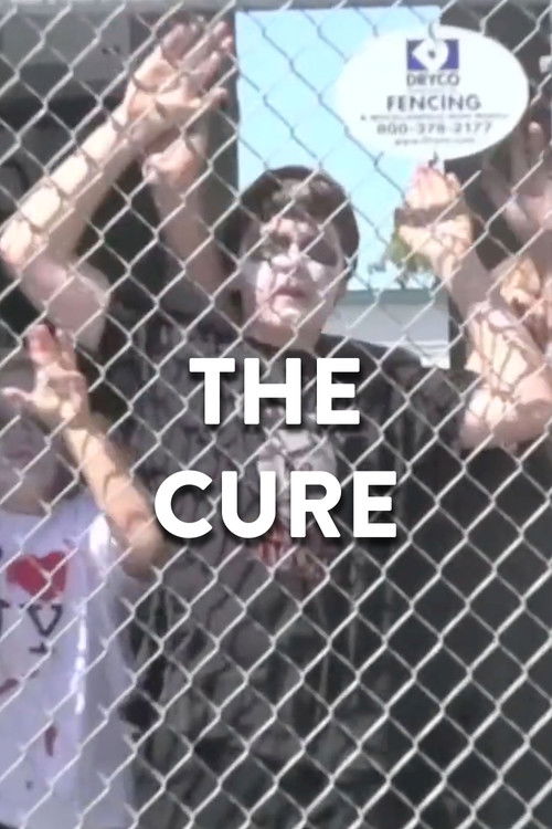 The Cure (2013) poster