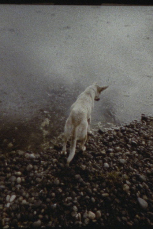 The Departing Images (2023) poster