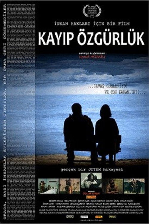 Kayıp Özgürlük (2011) poster